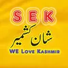 shanekashmir