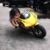 kapekamuna18