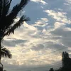 diasxz_014