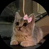 meriemmrima0
