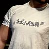 lvmfit