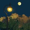 moon_edi.ts