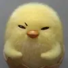 ta_ko552
