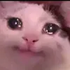 pai...87