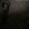 raja_basah99