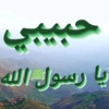 mujahed_t