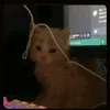 bbutku