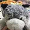 demoncacha