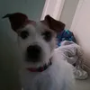 mc_charlie