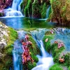 phong_ba37