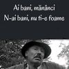 teodorbalan1