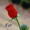 ariyan.hasan118