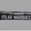 pilarmarquez197121