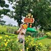 shwe25880