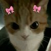 sirine23185765