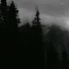 nightdescends_