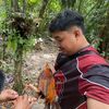 airylsyahrin_