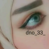 dno_33_