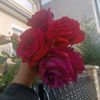 user3948467201105rohita