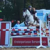muehlbauer_sportpferde