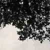 78hkop