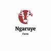 Ngaruye