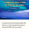 valdecialves9088