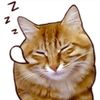 dayycat