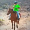 dernette43
