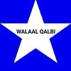 walaalqalbi4