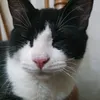 genarovila