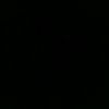 _euwilson_xf