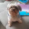 user_1238006