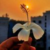 bebo_gammar