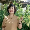 hao14071972