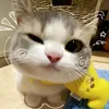 em.ut.94baoluu