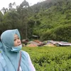parsiati