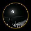 johns_efe