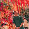 jimmytran0406