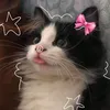 tamara._.vilhosa