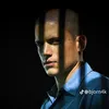 mayklscofield1
