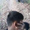 anis_8361