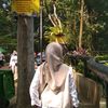 inii_lia.73