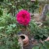 miamia050505