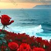 nur_20143
