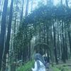 hanipeii