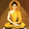 thynguyen.76