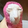abcdefqzx_
