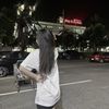 ilsse_2981
