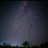 slebew_manot